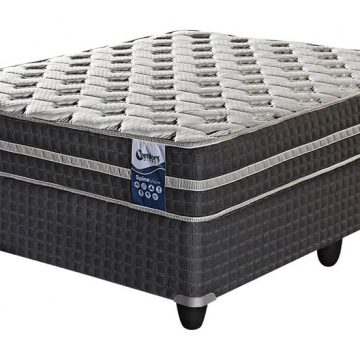 Spine Value - Single Bed